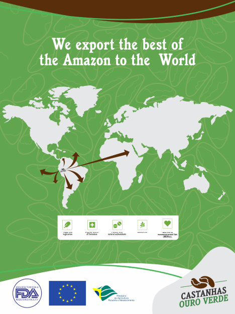 Imagem representando processos e a castanhas ouro verde